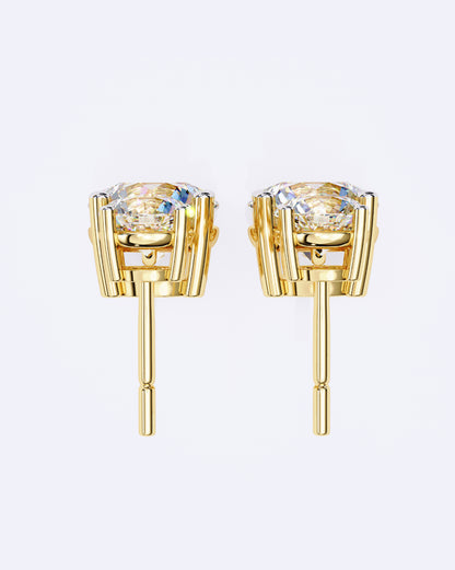 Delicate Drops Earrings